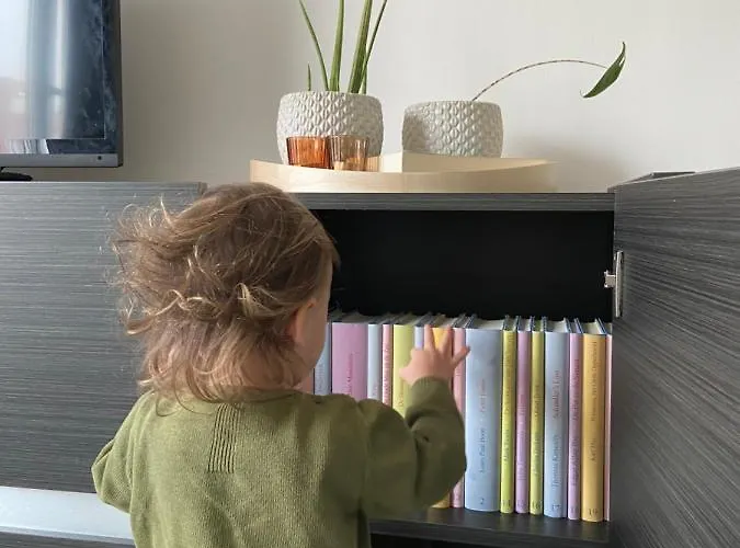 Delfien 아파트 오스트두인케르케